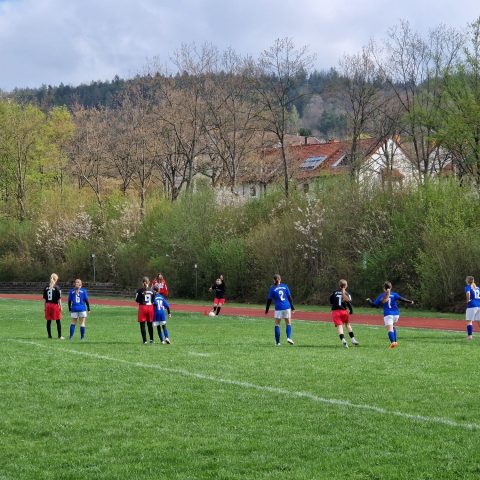 Kreisentscheid Mädchenfußball